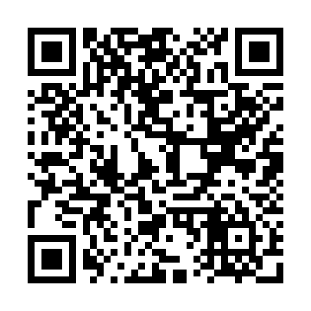 QR code for VV3335