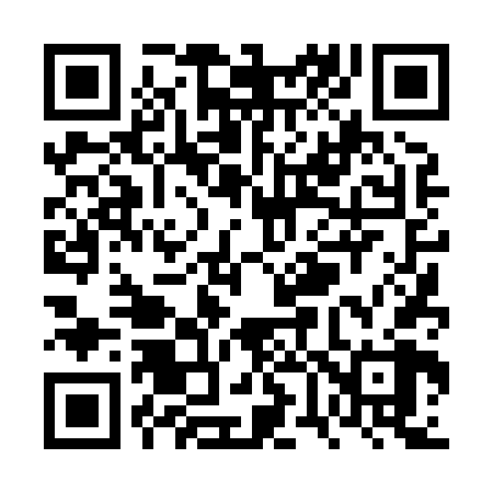 QR code for VV4868