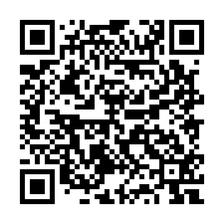QR code for VV8113