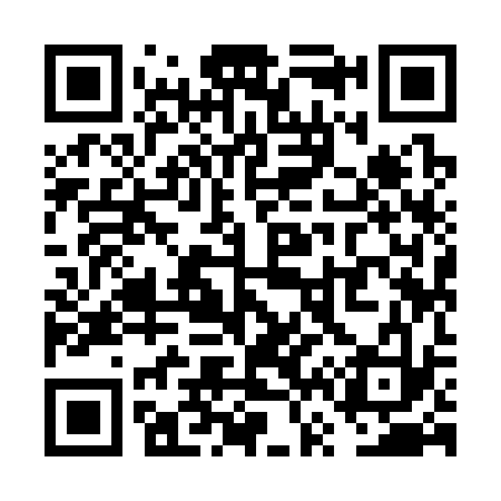 QR code for VV9333