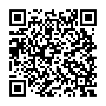 QR code for VW0382