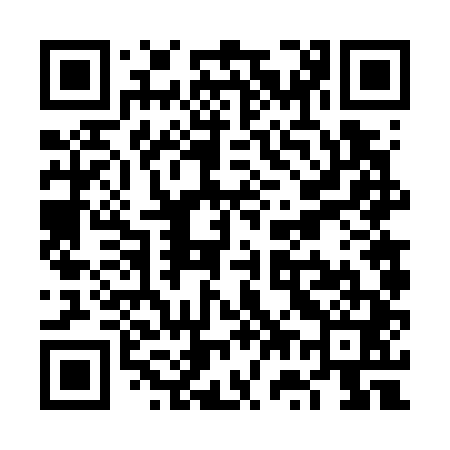 QR code for VW6741
