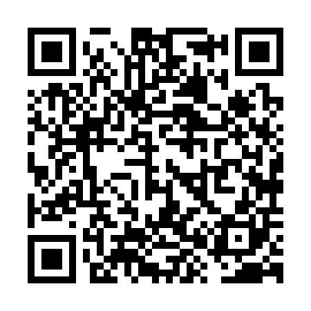 QR code for VX8300