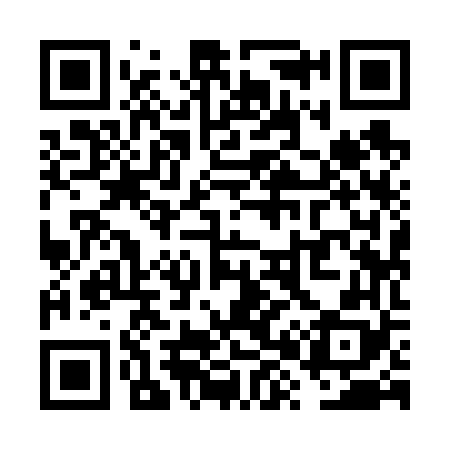 QR code for VX9668