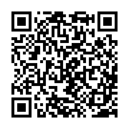 QR code for VY0383