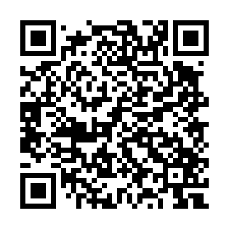 QR code for VY0447