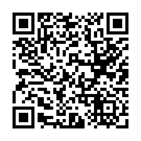 QR code for VY6913
