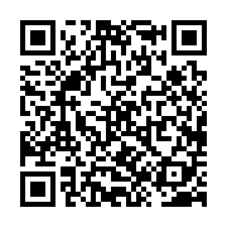 QR code for VZ0309