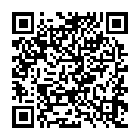 QR code for VZ4399