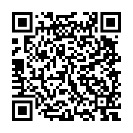 QR code for WF0493