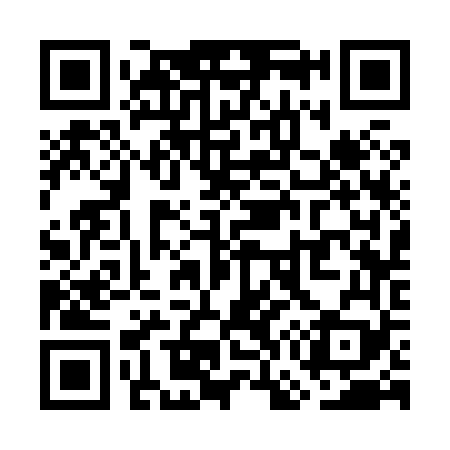 QR code for WG3869