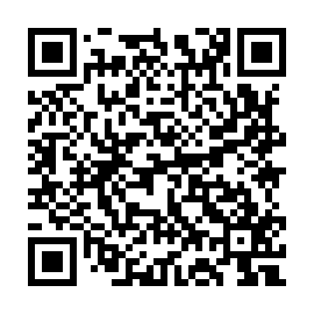 QR code for WG9917