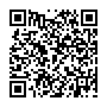 QR code for WH0335