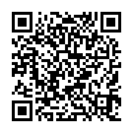 QR code for WI9911
