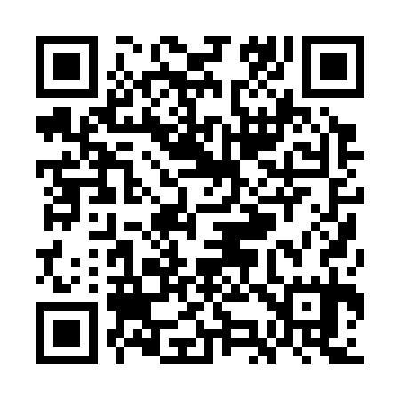 QR code for WK0335