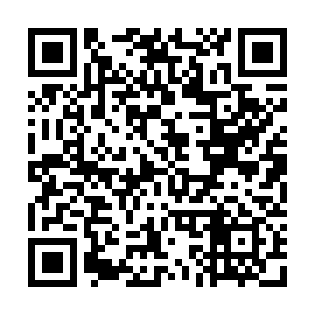 QR code for WK0739