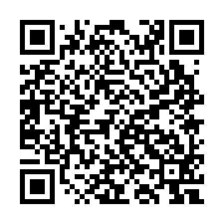 QR code for WK1393