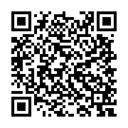 QR code for WK5541