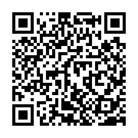 QR code for WK6738