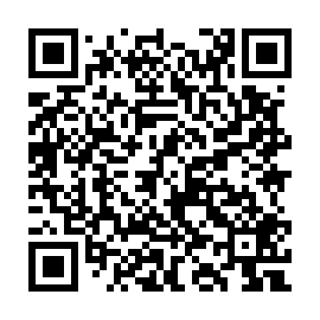 QR code for WK9509