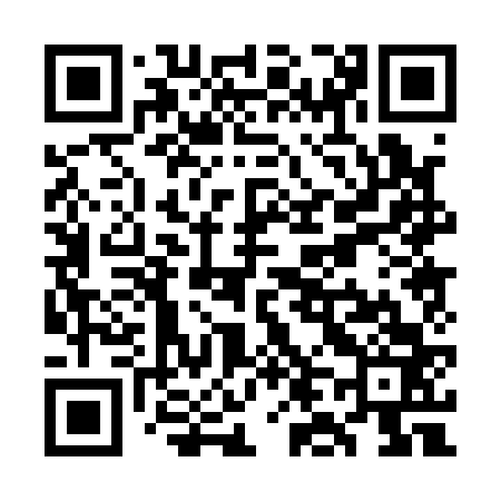 QR code for WL0163