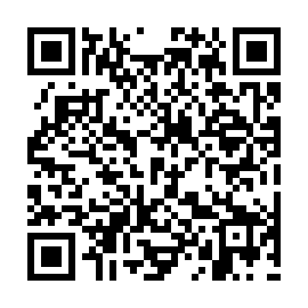 QR code for WL0389