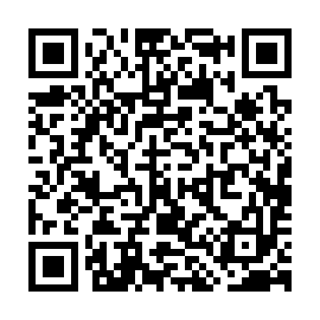 QR code for WL0393
