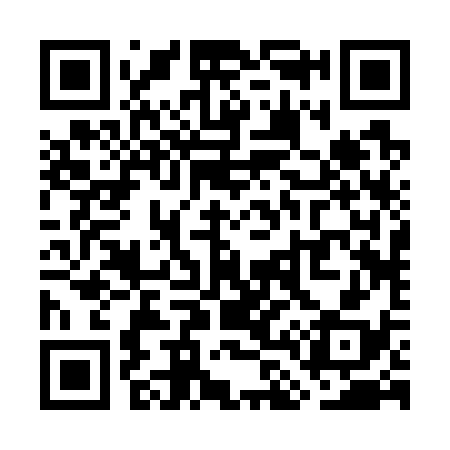 QR code for WL2738