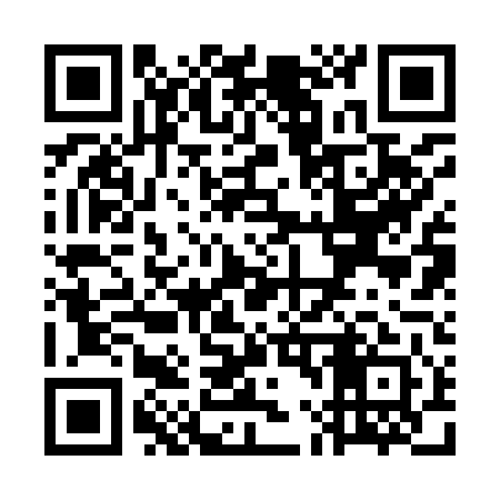QR code for WL2941