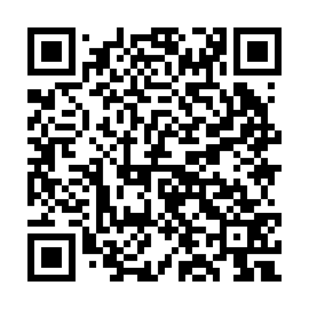QR code for WL9273