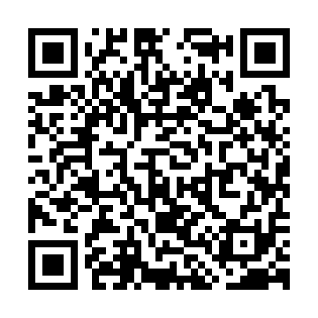 QR code for WL9311