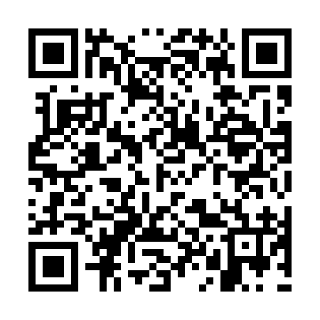 QR code for WL9596