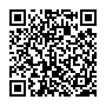 QR code for WL9613