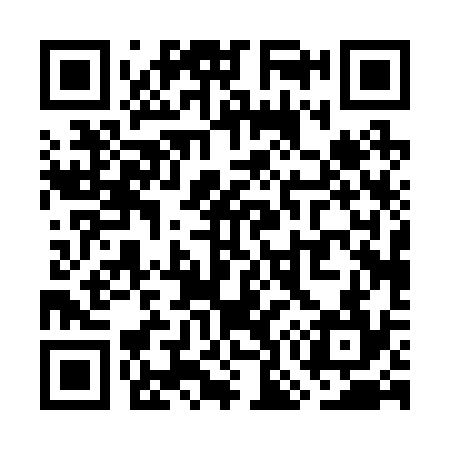 QR code for WO0234