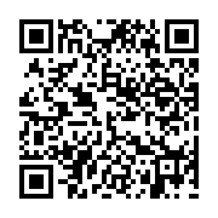 QR code for WO0278