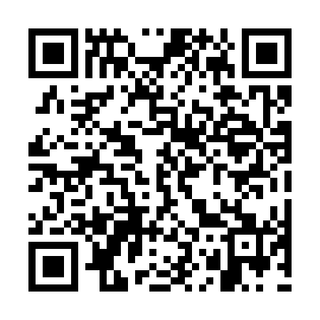 QR code for WO0341