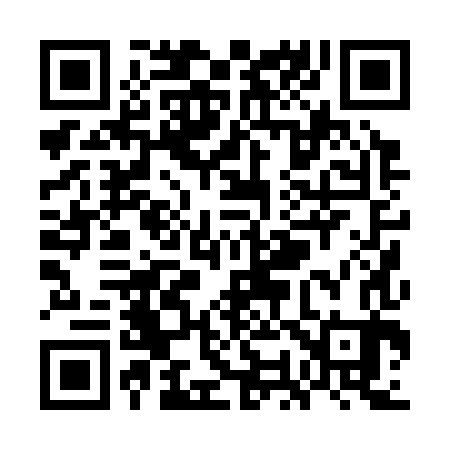 QR code for WO0383