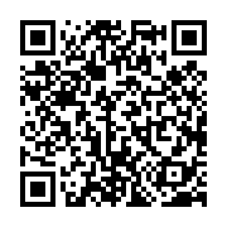 QR code for WO0438