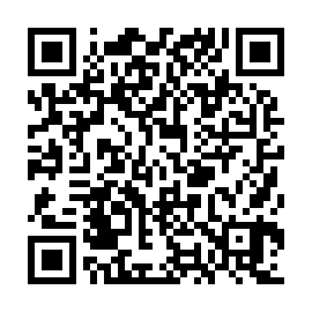 QR code for WO0960