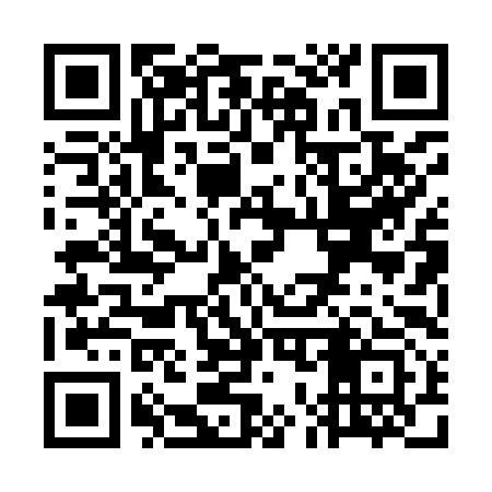 QR code for WO0993