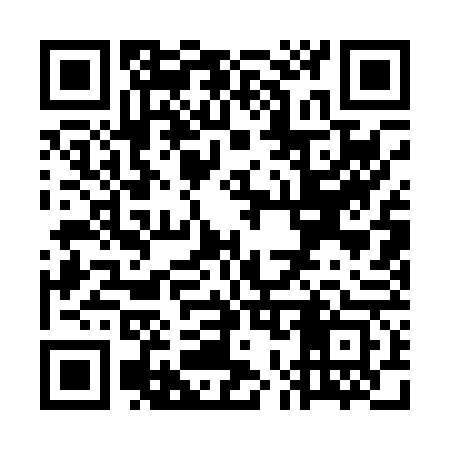 QR code for WO1063