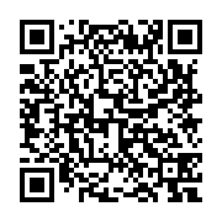 QR code for WO1938