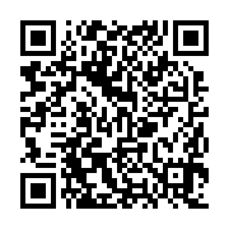 QR code for WO2295