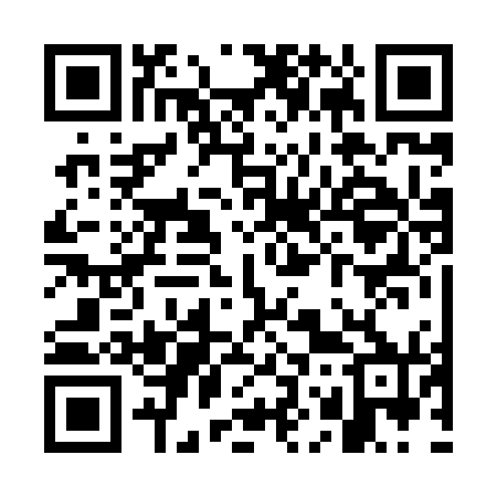 QR code for WO2870