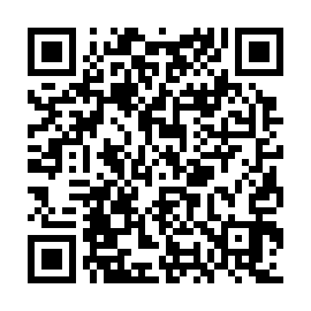 QR code for WO3313