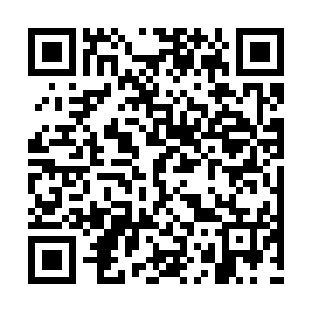 QR code for WO3355