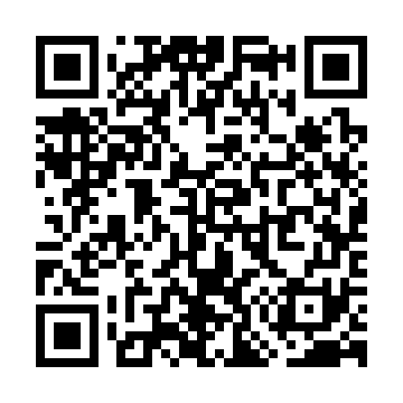 QR code for WO3371