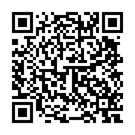QR code for WO3417