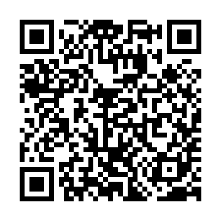 QR code for WO3881