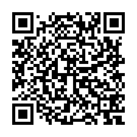QR code for WO3958